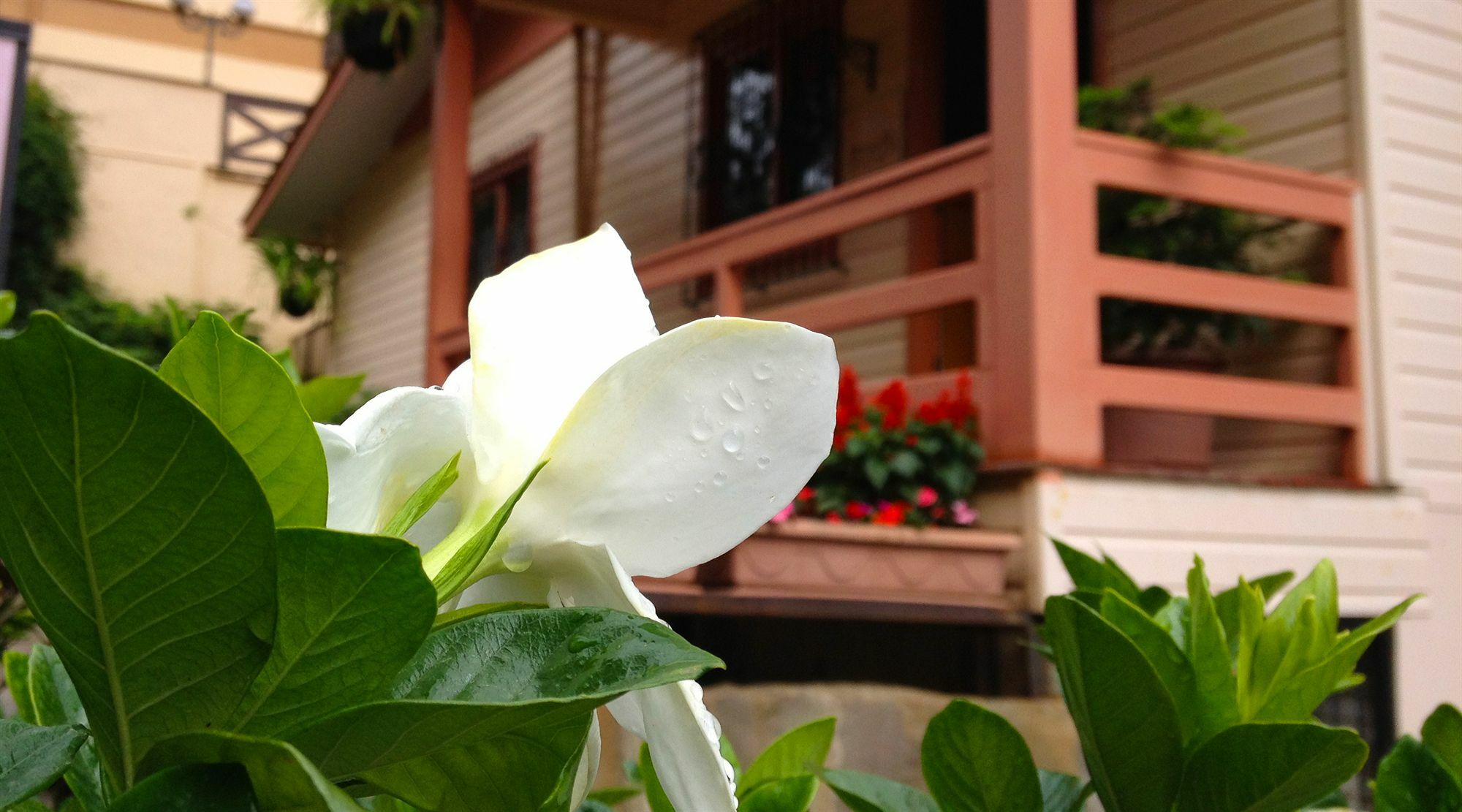 Pousada Jasmim Gramado Exterior foto